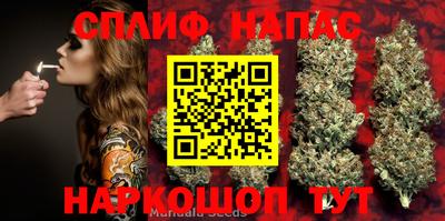 гашиш Будённовск