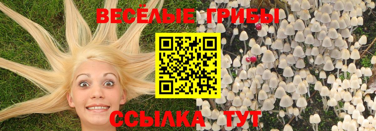 Псилоцибиновые грибы GOLDEN TEACHER Ногинск
